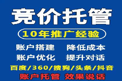 成功sem公司的策略与执行